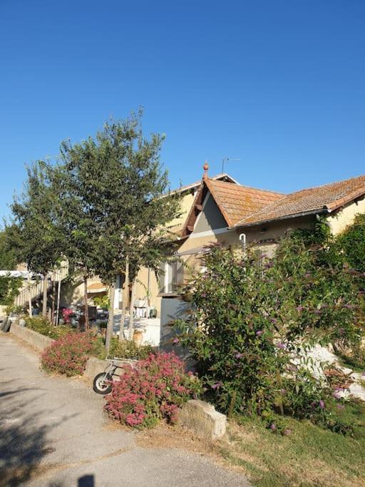 St Remy De Provence, La Maison Du Berger Saint-Andiol ภายนอก รูปภาพ
