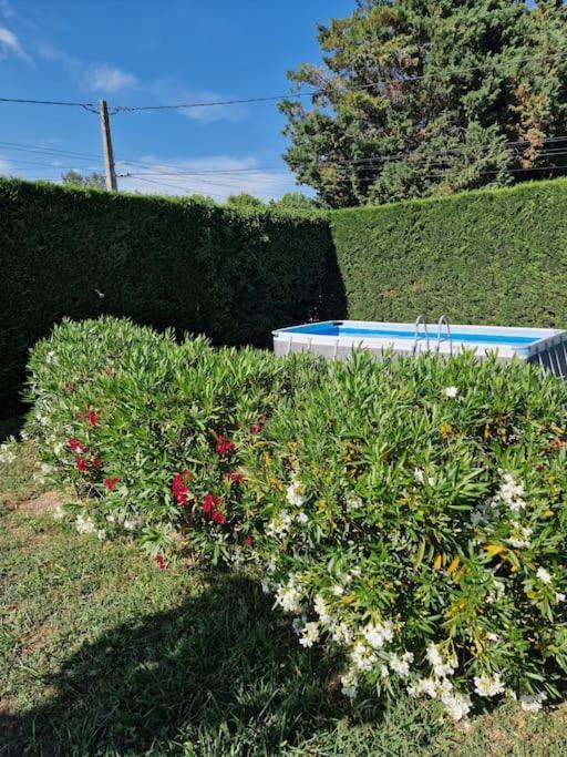 St Remy De Provence, La Maison Du Berger Saint-Andiol ภายนอก รูปภาพ